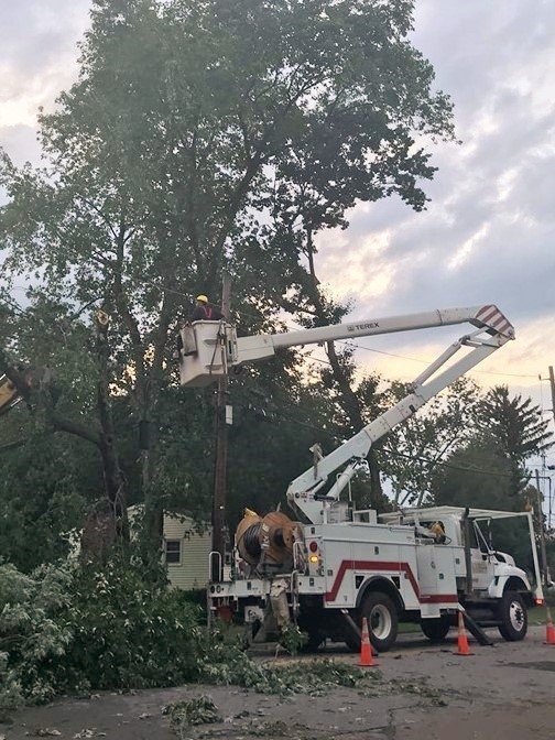 Storm brings down branches, closed roads – North Star Reporter