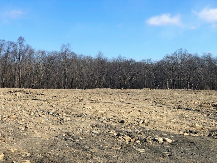 phoNAhighfields_031821